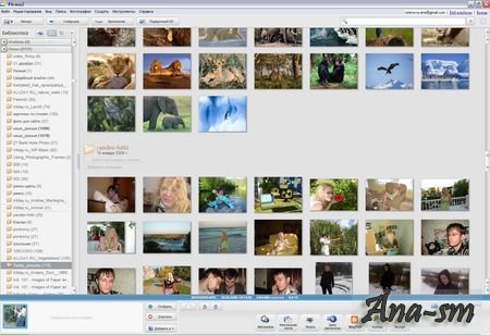 Picasa – менеджер фотографий от Google
